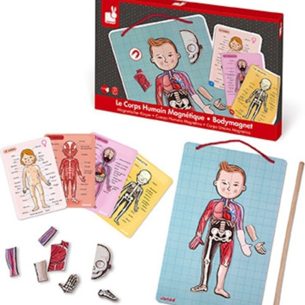 Janod-Body Magnet Human Body Game Magnetic Anatomy Puzzle For Age 7+ New in Box